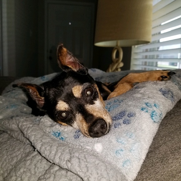 Meet your Posher, Rachel - Picture 1 of 1